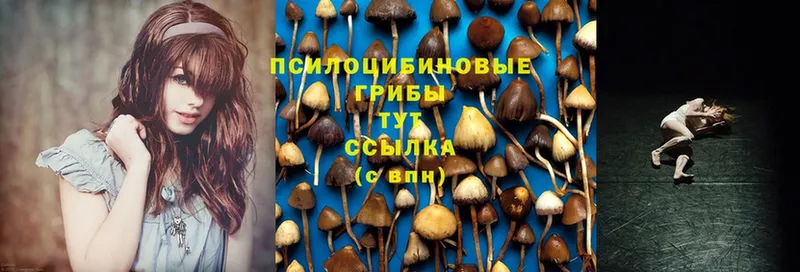 Галлюциногенные грибы MAGIC MUSHROOMS  Алдан 